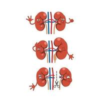 Kidney Cartoon Character vector