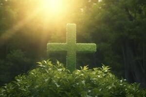 The cross of God with green Leaf, in the rays of the sun and blue sky. Cross on the hill with green trees and graeen natural view. Religious concept, photo