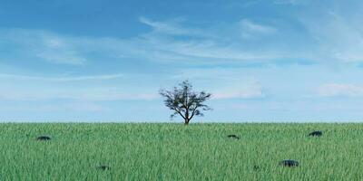 Meadow and clear sky on a cloudy day Vast lawn Rural landscape Skyline 3D illustration photo