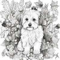 Animals Coloring Pages photo