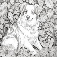 Animals Coloring Pages photo