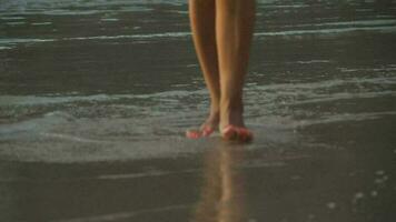 vrouw been wandelen Aan strand. sexy vrouw poten. blootsvoets Aan de strand. toerisme en reizen concept video