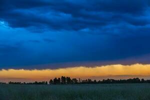 a tree stands in the middle of a field at sunset photo