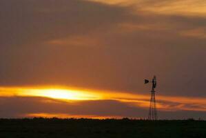 a sun setting over a field with trees and grass photo