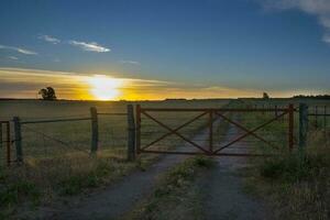 un portón en un campo con un puesta de sol detrás eso foto