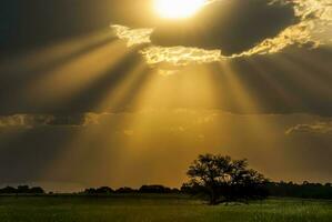 rayos de sol brillante mediante nubes terminado un campo foto