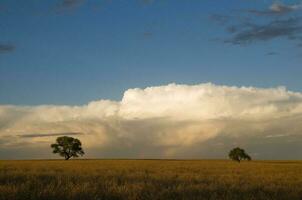 un grande nube en el cielo foto