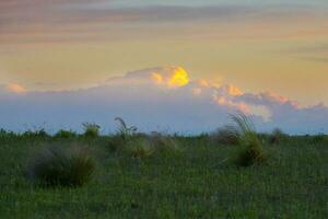 a field with grass and a cloud in the sky photo