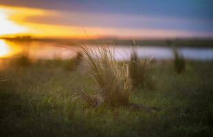 a grassy field with a sunset in the background photo