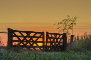 a gate that is open at sunset photo