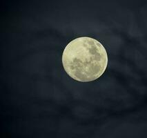 un lleno Luna es visto en el cielo con un púrpura y azul antecedentes foto