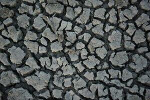 a close up of a cracked surface with some dirt photo