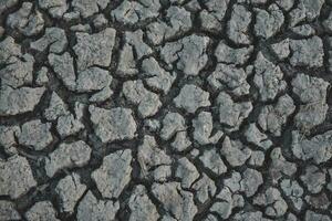 a close up of a cracked surface with some dirt photo