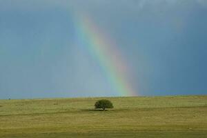 un arco iris en el cielo foto