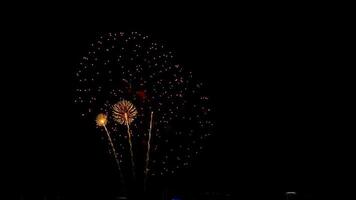 colorida fogos de artifício às cidade dia festival, novosibirsk, Rússia video