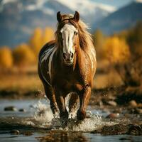 un salvaje caballo corriendo en el arroyo. salvaje o granja animales concepto por ai generado foto