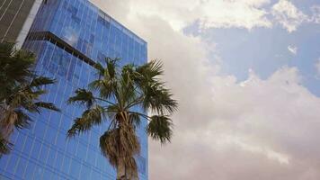 een wolkenkrabber omringd door palm bomen video