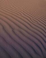 Dune background view photo