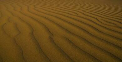 Dune background view photo