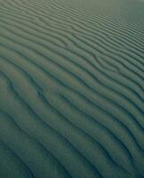 Dune background view photo