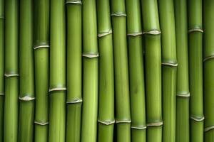 Natural Green Bamboo Texture or Pattern Background, AI Generative photo