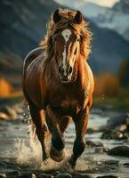 A wild horse running in the creek. Wild or farm animals concept by AI Generated photo