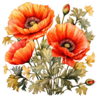 waterverf papaver bloemen achtergrond png