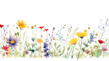 Watercolor floral border png