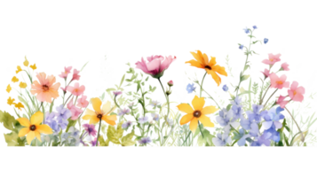 aquarelle floral frontière png