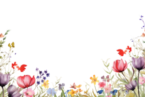 aquarelle floral frontière png