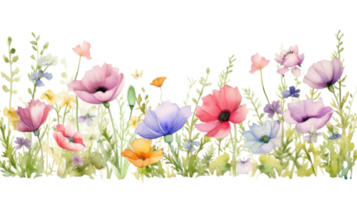 aquarelle floral frontière png