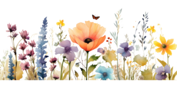 Aquarell Blumen- Rand png