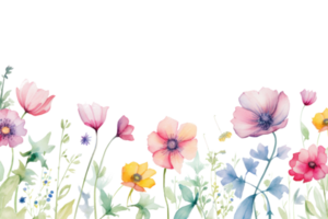 acuarela floral frontera png