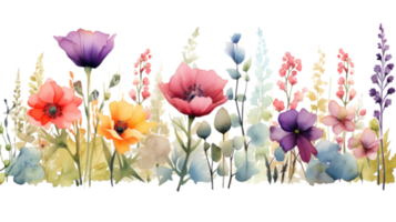 Watercolor floral border png
