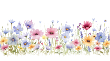 vattenfärg blommig gräns png