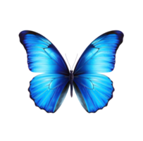 bleu papillon isolé png