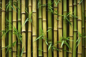 Natural Green Bamboo Texture or Pattern Background, AI Generative photo