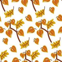 Vector pattern of physalis branches in cartoon style on a white background. A branch of a dried flower with fruits and foliage. Autumn background with dried flowers