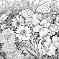 Garden Coloring Pages photo