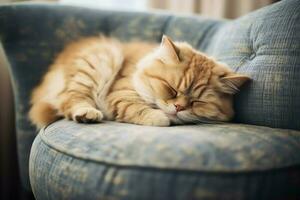 linda gato dormido o descansando en el sofá a hogar. perezoso gato dormido en el sofá. gato día concepto por ai generado foto