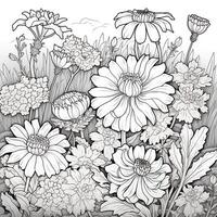 Garden Coloring Pages photo