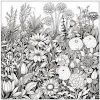 Garden Coloring Pages photo