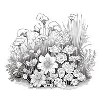 Garden Coloring Pages photo