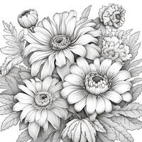 Garden Coloring Pages photo