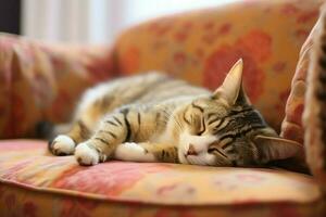 linda gato dormido o descansando en el sofá a hogar. perezoso gato dormido en el sofá. gato día concepto por ai generado foto