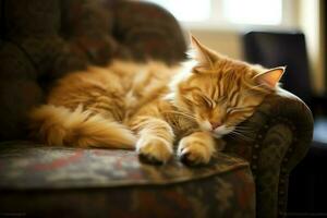 linda gato dormido o descansando en el sofá a hogar. perezoso gato dormido en el sofá. gato día concepto por ai generado foto