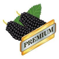 Organic mulberry icon isometric vector. Fresh black mulberry and premium sign vector
