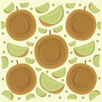 Honeydew melon fruit vector illustration for graphic design and decorative element