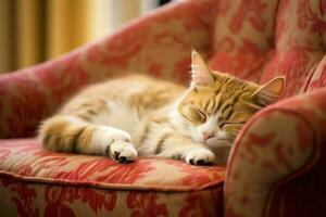 Cute cat sleeping or resting on the sofa at home. Lazy cat sleeping on the sofa. Cat day concept by AI Generated photo