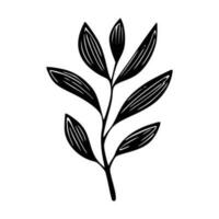 Minimalist branch with leaves icon vector